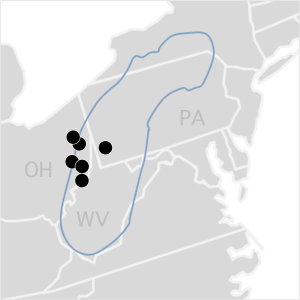 Map of the Marcellus energy region identifying locations of Equipment Transport yards in the northeast, including Washington, Pennsylvania, and Carrollto, Newcomerstown, Barnesville, Steubenville, and Marietta Ohio.